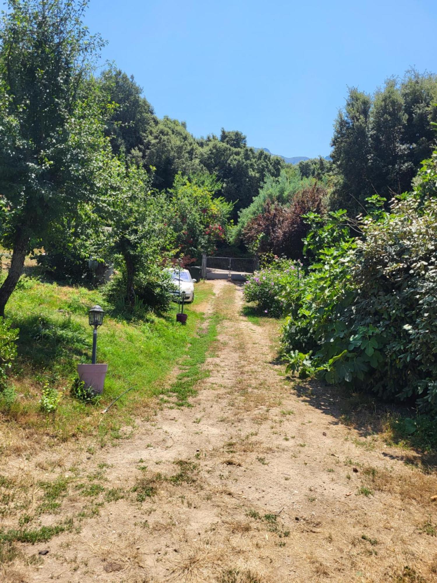 Studio A La Campagne Ucciani 外观 照片